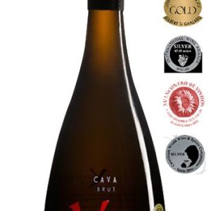 Cava Extrem de Bonaval